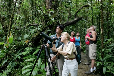 Tour de Obsevación de Aves en el Caribe