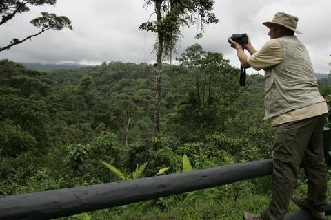 Rain Forest Birding Tour Costa Rica