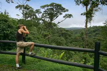 Rain Forest Birding Tour