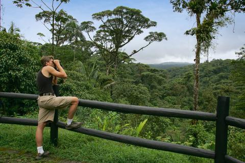 Rain Forest Birding Tour Costa Rica
