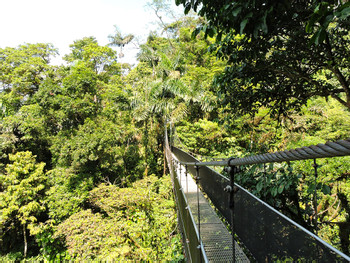 Tour 3 en 1 Puentes colgantes, catarata La Fortuna y chocolate photo 5