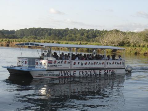 Jungle Crocodile Safari Costa Rica