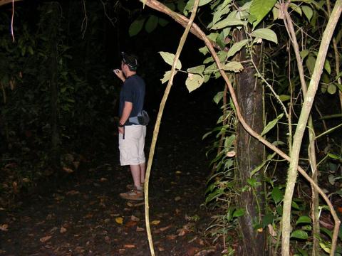 Arenal Oasis Frog Watching Night Tour Costa Rica