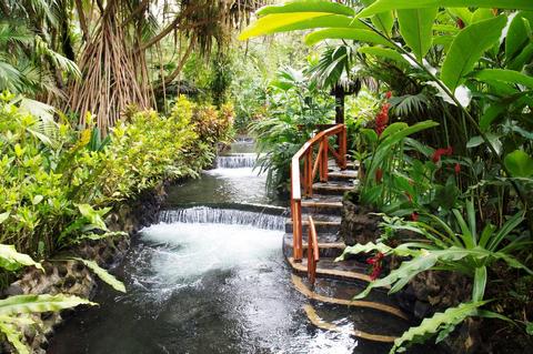 Bridges, Volcano, Waterfall & Tabacon Hot Springs