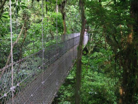 Arenal 4 in 1 Hanging Bridges & Baldi Hot Springs Costa Rica