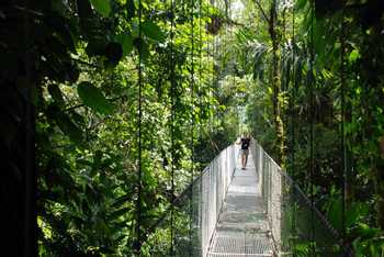 Arenal 4 in 1 Hanging Bridges & Baldi Hot Springs