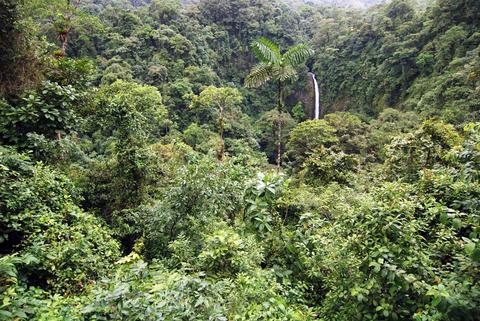 Hanging Bridges, Waterfall, Volcano & Eco Termales Costa Rica