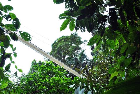Tour en Arenal 4 en 1: Puentes Colgantes y Eco Termales Costa Rica