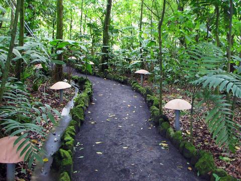 Hanging Bridges, Waterfall, Volcano & Eco Termales