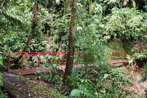 Bridges, Waterfall, Volcano & The Springs Costa Rica