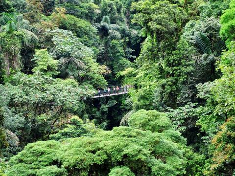 Bridges, Waterfall, Volcano & The Springs