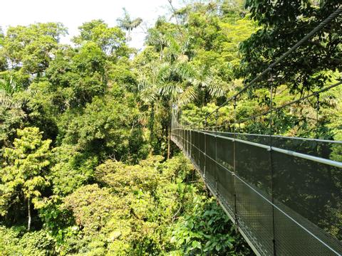 Tour 4-en-1 de Puentes Colgantes y Aguas Termales Paradise