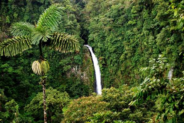 Safari Float, Waterfall, Volcano & Baldi Hot Springs