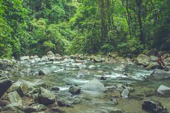 Arenal 4 in 1 Tour Safari Float & The Springs