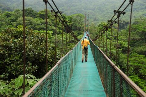 Suspension Bridges Costa Rica