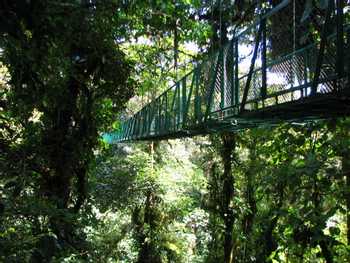 Suspension Bridges