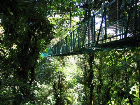 Suspension Bridges Costa Rica