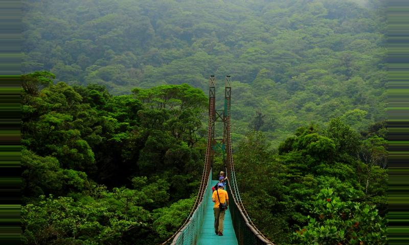 Image result for puentes colgantes costa rica