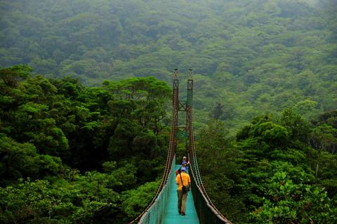 Suspension Bridges