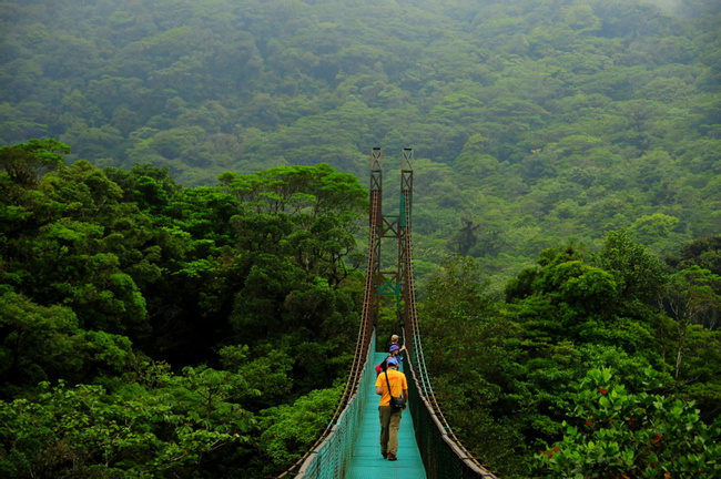 Puentes Colgantes Photo