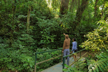 Guided Tour Monteverde Cloud Forest Reserve photo 3
