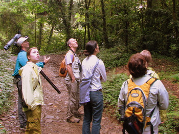 Guided Tour Monteverde Cloud Forest Reserve photo 5