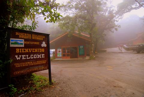 Visita guiada al bosque nuboso de Monteverde