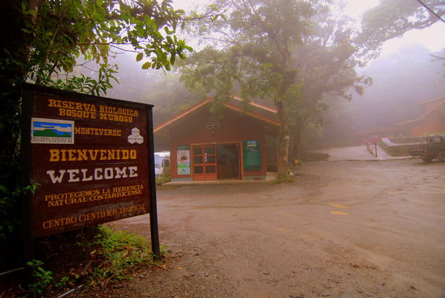 Guided Tour Monteverde Cloud Forest Reserve photo
