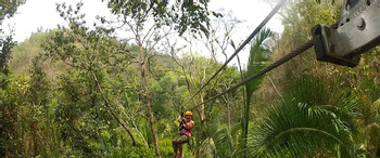 Calico Jack's Jungle Expedition: Cave Tubing & Zipline Adventures photo 2