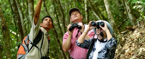 Bird Watching Tour Belize