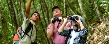 Tour de Observación de Aves photo 2