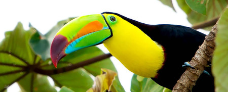 Tour de Observación de Aves photo 3