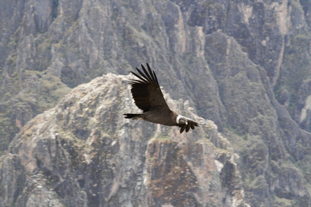 Colca Canyon 2 day, 1 night Adventure photo 2