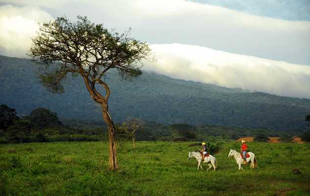 One Day Adventure Combo Guachipelin