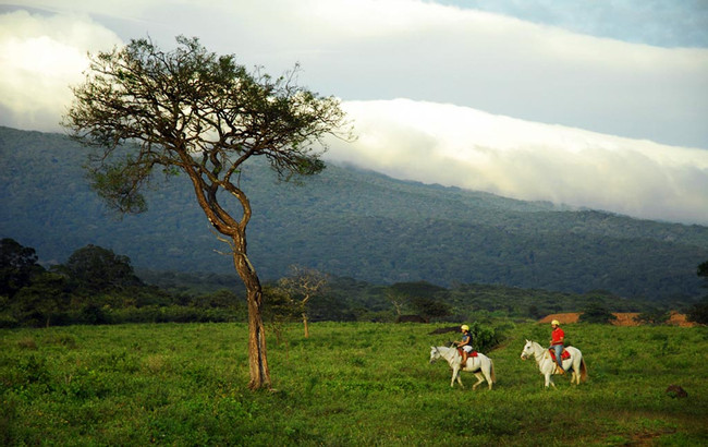 One Day Adventure Combo Guachipelin photo