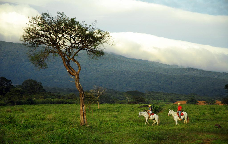 One Day Adventure Combo Guachipelin photo
