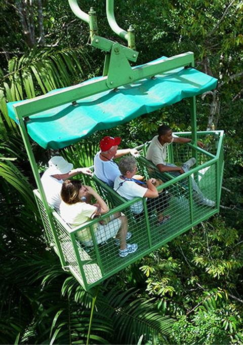 Gamboa Aerial Tram and Wildlife Exhibits Panama