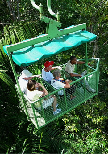 Teleférico Gamboa y Exhibiciones de Vida Silvestre photo 3