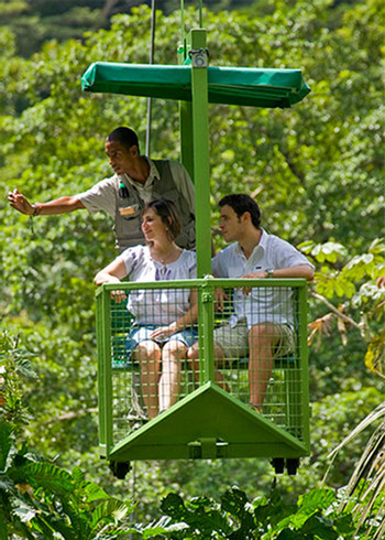 Teleférico Gamboa y Exhibiciones de Vida Silvestre photo 5