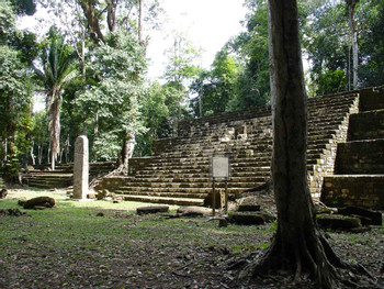 Guatemala Naturalist Guide