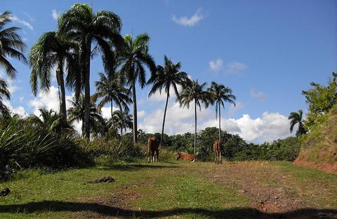 Visit to Alejandro de Humboldt Park Cuba