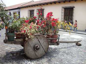 Antigua Walking Tour Half Day