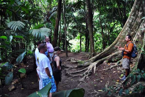 Arenal Volcano History Walk