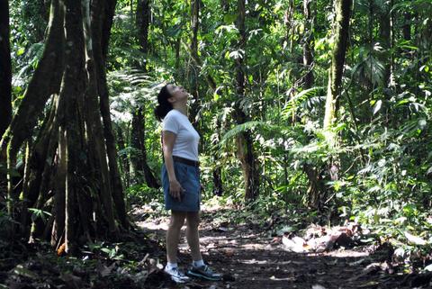 Arenal Volcano History & Los Perdidos Springs Costa Rica