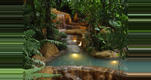 Costa Rica Arenal Volcano History Walk and Los Perdidos Hot Springs