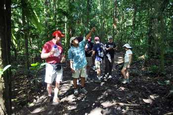 Arenal Volcano History Walk & Baldi Hot Springs