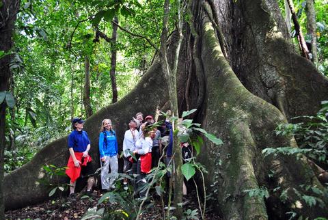 Arenal Volcano Walk & Eco Termales Hot Springs Costa Rica