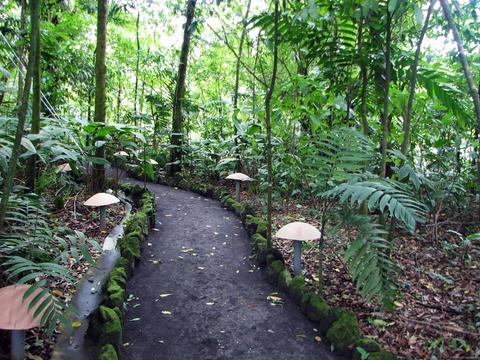 Arenal Volcano Walk & Eco Termales Hot Springs Costa Rica