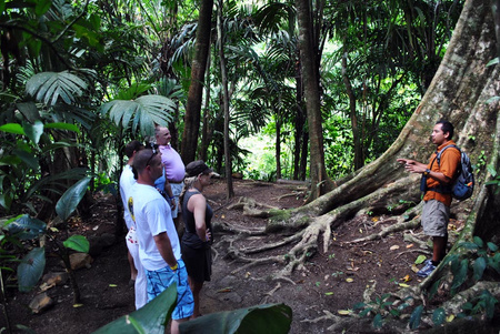 2 in 1 Volcano Hike and Tabacon Hot Springs