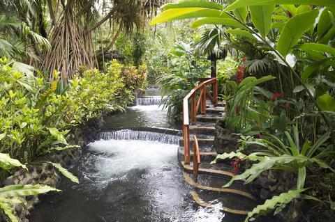 Arenal Volcano Walk & Tabacon Hot Springs Costa Rica